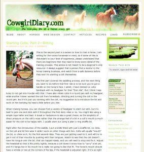 Cowgirl Diary, My Own Blog
